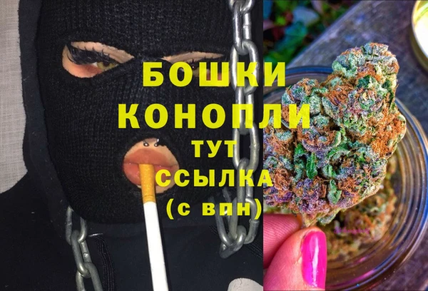 ешки Ельня