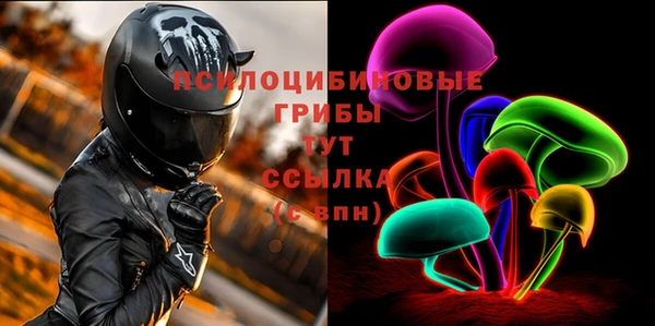 крисы Новозыбков